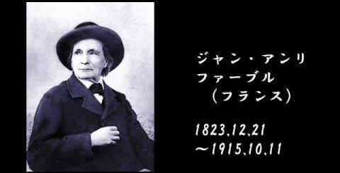 ドイツ第三帝国の繁栄と滅亡 ナチスドイツ アドルフ ヒトラー ざっくりな世界史